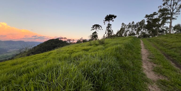 08e35f0a-9e68-4631-9b54-6a982a4f33b8