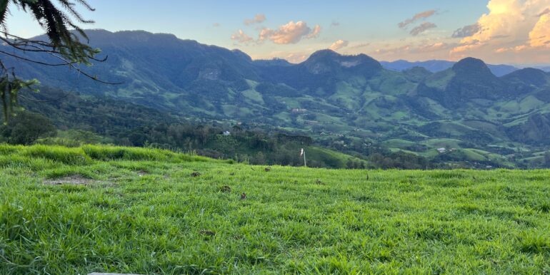 24faf02c-e713-4711-ab90-ce2d0d3c6c70