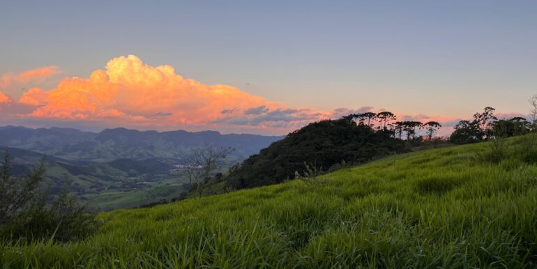 2f4f3336-32e7-4877-8993-ad5a6192f12e