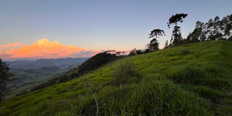 3313fa96-6119-46e6-88fa-ffb773fb5bf9