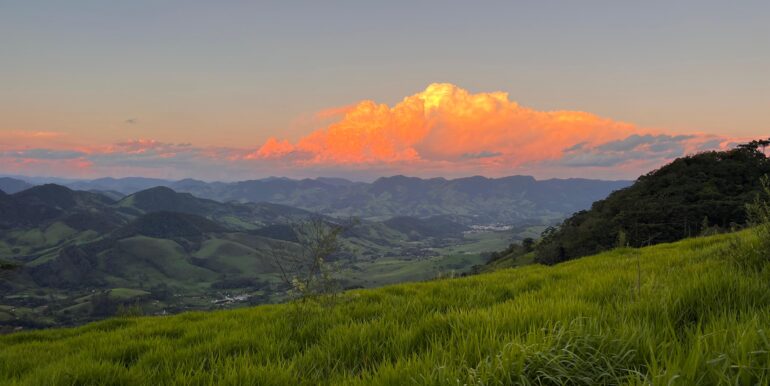 98ca5a48-6b2e-4287-8630-70f0bdc2324f