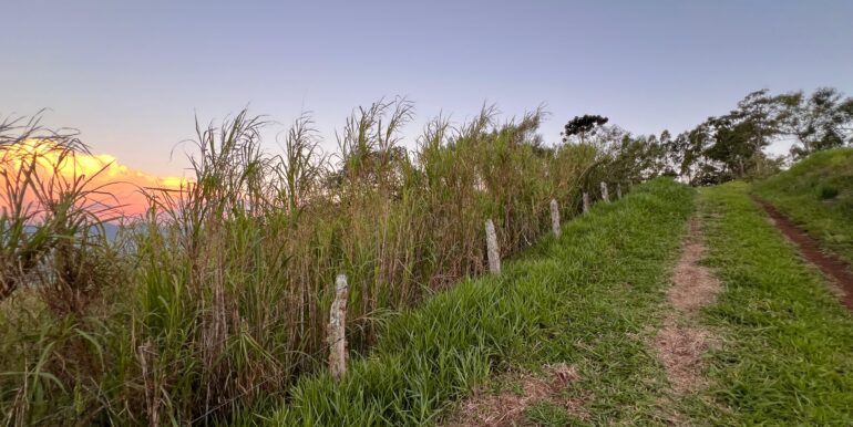 c3c26d6d-e9c8-4193-91d9-818823a64c1b