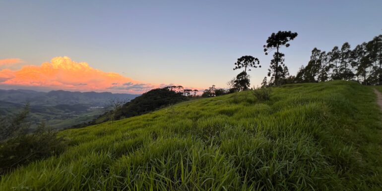 d0e7a542-76bb-40f4-bd04-4a4d3162b4a9