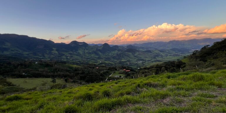 d81f089c-77db-4a4e-8bfc-15f58425babb