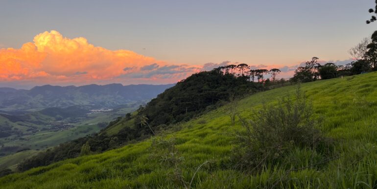 fdec31cd-51cd-451e-9d7a-30826d381255