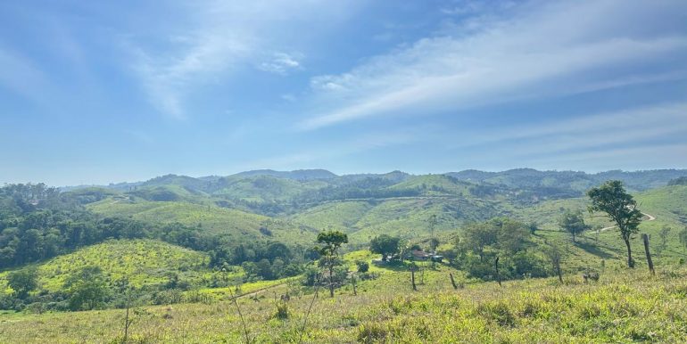 12248d16-e678-4d0c-b386-e558e0cb8d51