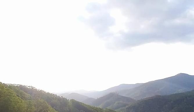 WhatsApp Image 2025-12-03 at 19.35.27 (1)