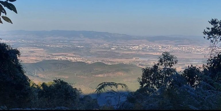 WhatsApp Image 2025-12-03 at 19.35.27 (7)