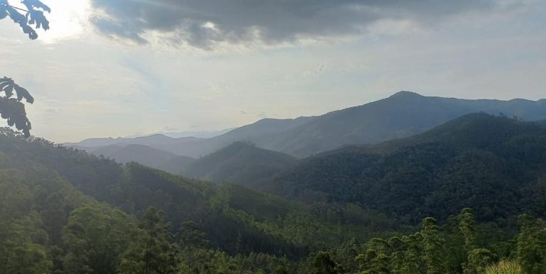 WhatsApp Image 2025-12-03 at 19.35.27