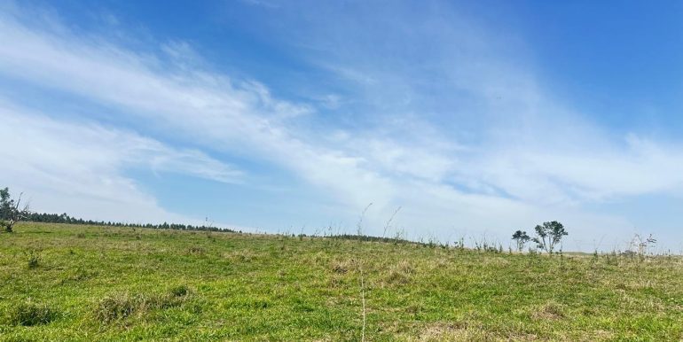 e087ad03-6a34-4218-b417-1803465ce950