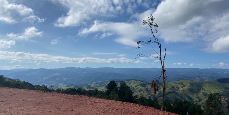 WhatsApp Image 2026-02-17 at 12.22.56